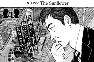 ＳＴＥＰ２７ Ｔｈｅ Ｓｕｎｆｌｏｗｅｒ 표지