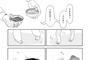 第１１話 人魚 표지