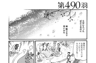 第４９０羽 표지