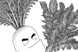 輝け！ 大根葉（だいこんば）のサラダ！！ 표지