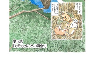 第１６話 「カモちゃんとの再会？」 표지