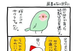 第５６話 肩書のない出会い 표지