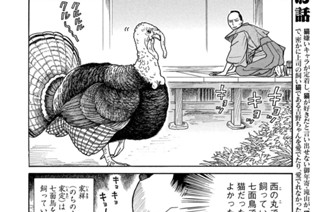 その５４ 표지