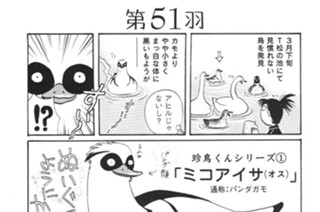 第５１羽 표지