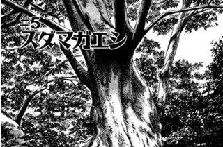 ＃5 スダマガエシ 표지