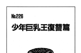 少年巨乳王復讐篇 표지