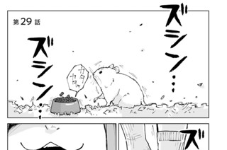 第２９話 ハムカツとお留守番 표지