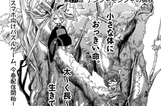 第２５１話 ナンジャモンジャの御柱 표지