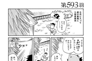 第５９３羽 표지