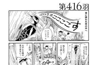 第４１６羽 표지