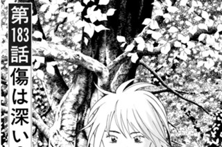 第１８３話 傷は深い？ 표지
