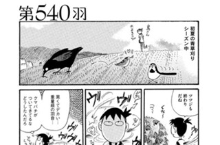 第５４０羽 표지