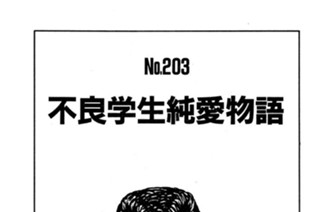 不良学生純愛物語 표지