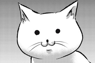 第１５話 近況報告② 표지
