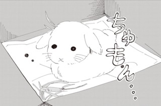 第11話 표지