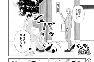 第３５話 触ると危険 표지