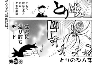 第７９６羽 표지