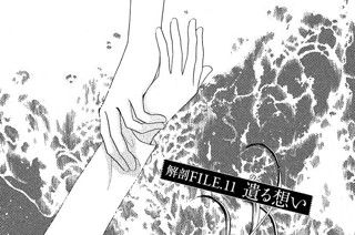 解剖ＦＩＬＥ．１１ 遺（のこ）る想い 표지