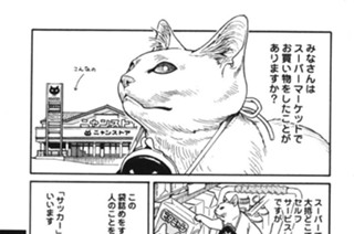 プ〜ねこ（１８） 표지