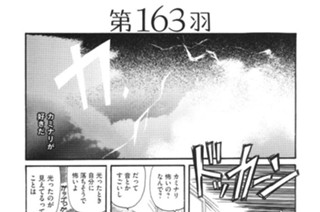 第１６３羽 표지
