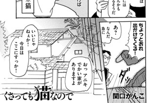 第３６話 猫とサギと屋根の上のヒットマン 표지