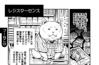 プ〜ねこ（５４） 표지