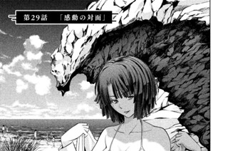 第２９話 「感動の対面」 표지