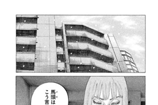 第２４６話 帰郷 표지