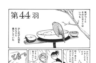 第４４羽 표지