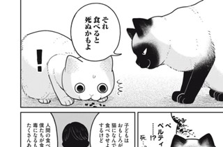21화 番外編11 표지