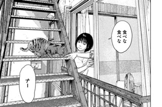 第３１話 小学生は見た！ 표지