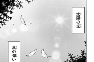 第４歩 旅の仲間 표지