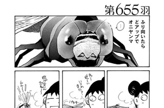 第６５５羽 표지