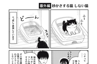 43화 番外編22 표지