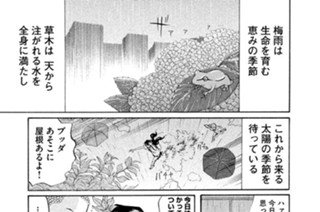 その２６ ７月１日雨のち晴れ 표지