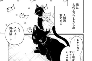 その１３１ 地中海からの客人 표지