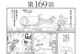 第１６９羽 표지