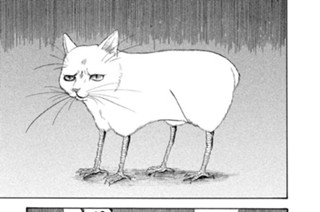 第９９話 芸術は爆発でした 표지