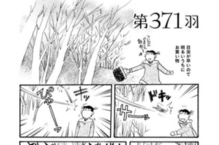 第３７１羽 표지