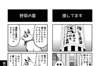 ああっ教祖さまっ 표지