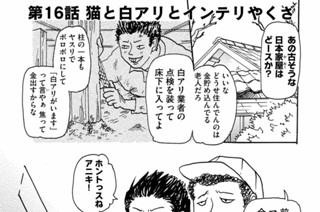 第１６話 猫と白アリとインテリやくざ 표지
