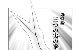 第９３話 三つの実の拳 표지