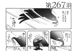 第２６７羽 표지