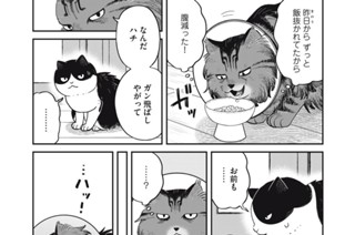 108화 番外編51 しょぼんぬ 표지
