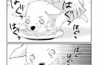 第2話-3 私の娘は87歳｜トイプードル(メス) 표지