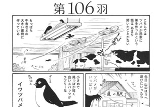 第１０６羽 표지