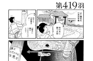第４１９羽 표지