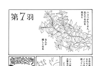 第７羽 표지