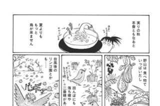 第２６羽 표지
