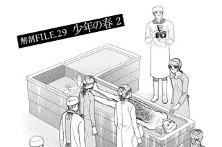 解剖ＦＩＬＥ．２９ 少年の春 ２ 표지